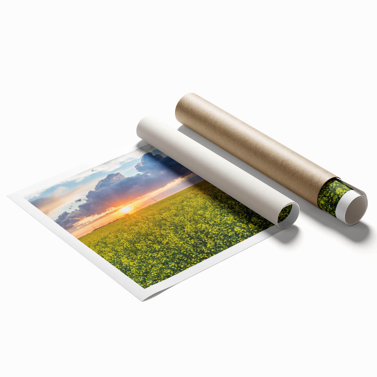 Extra large rolled print of Saskatchewan scenery with vibrant green and blue floral motifs.