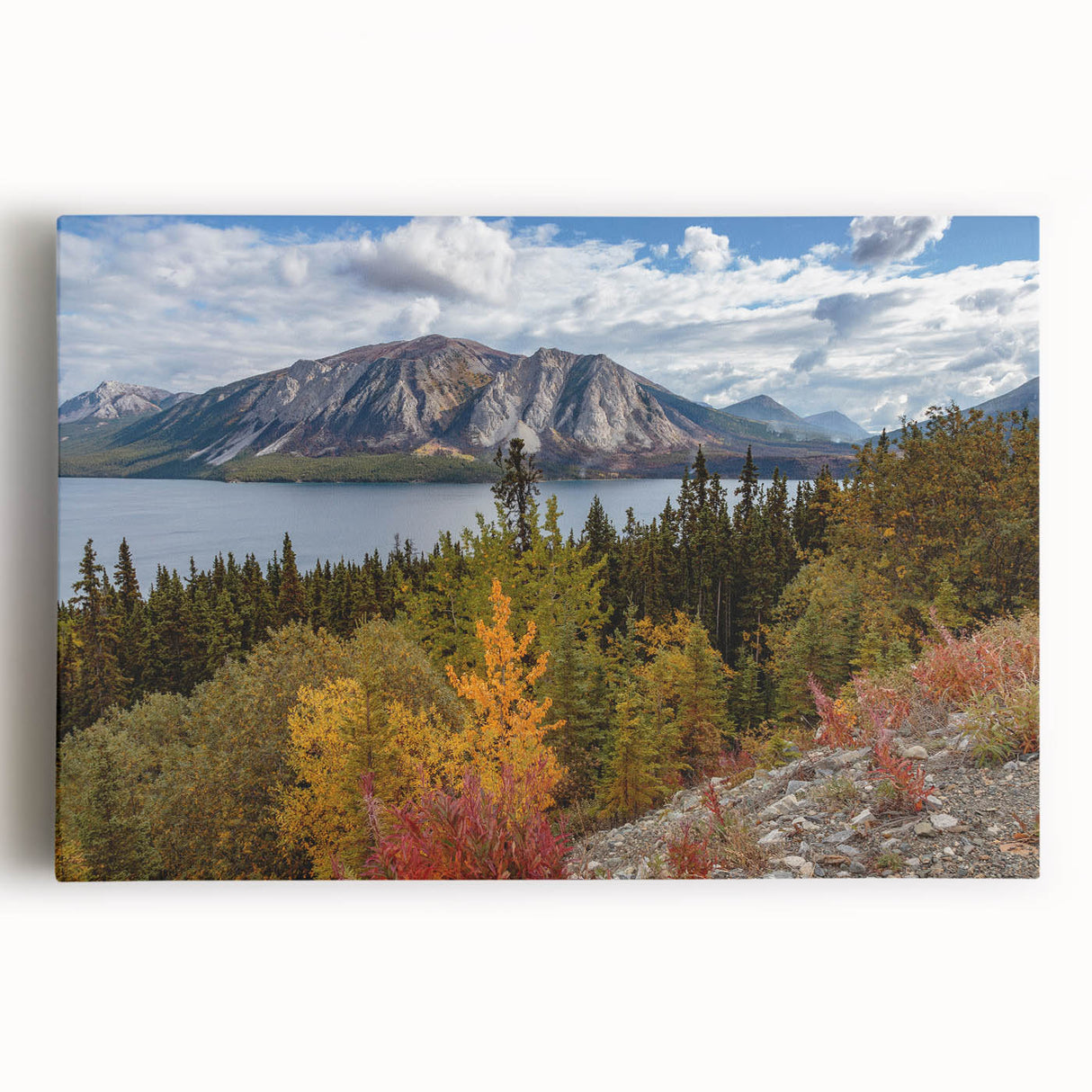 Black and white stretched canvas of Yukon scenery, ideal for kitchen wall art.