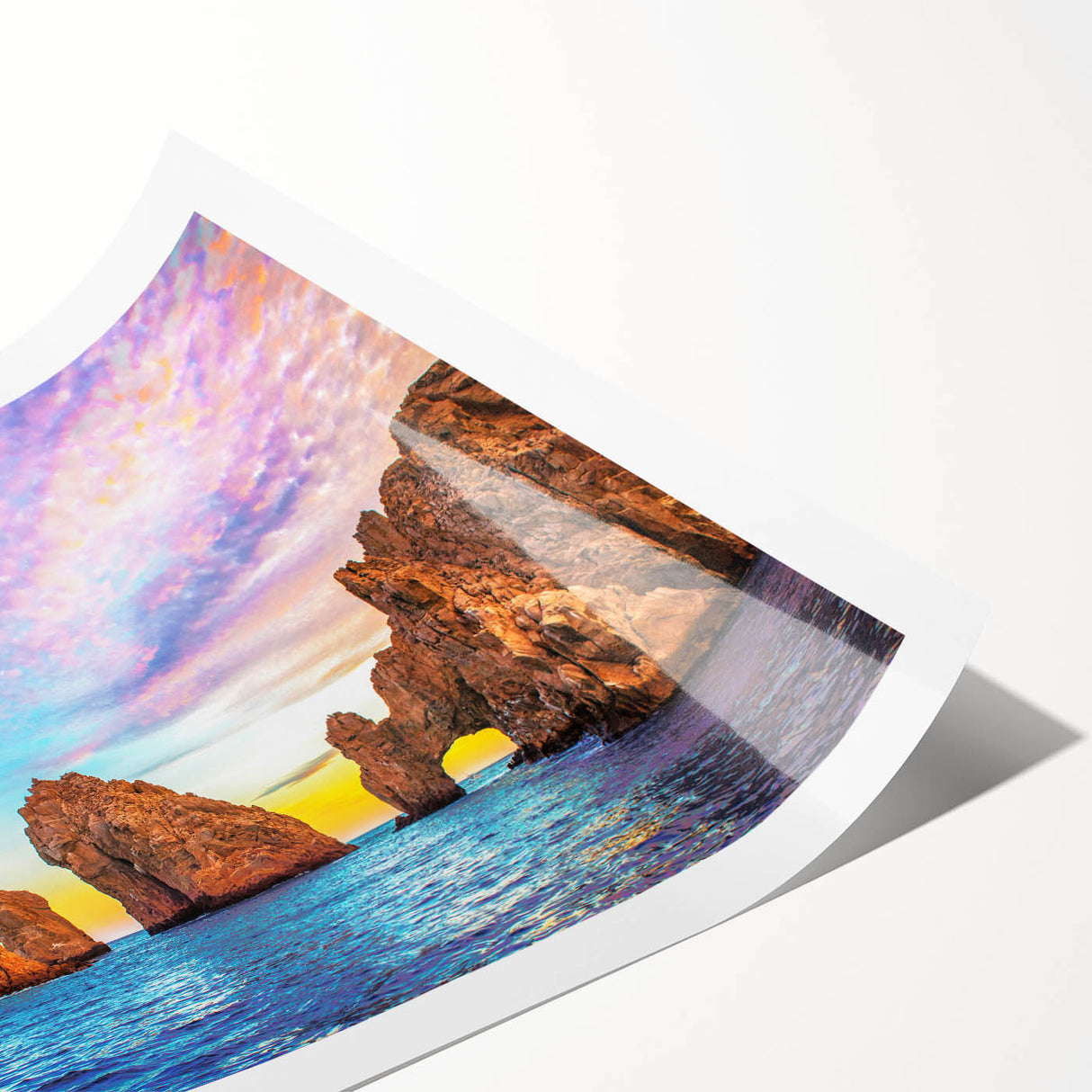 Extra large wall art featuring line art flowers and a Baja California scenery on a rolled print.