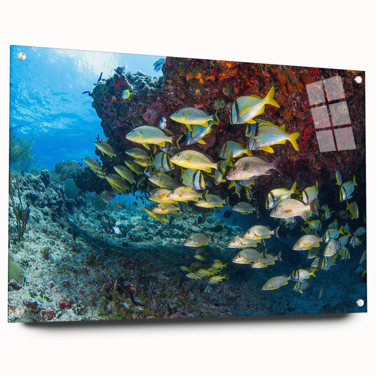 Acrylic print of Quintana Roo scenery with vivid blue ocean and sky tones, ideal for bedroom or dining room decor.