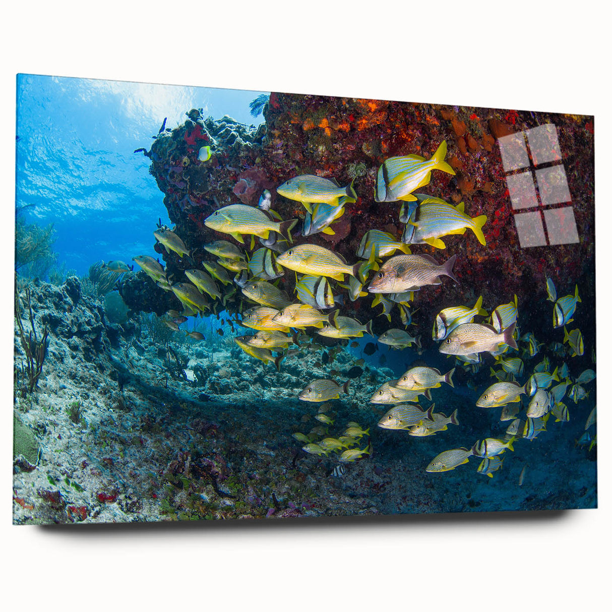 Large abstract wall art of Quintana Roo scenery in vibrant blues and greens on acrylic glass.