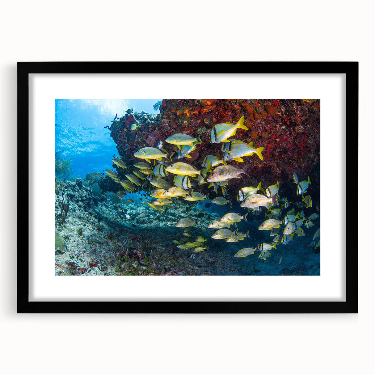 Extra large framed abstract art print depicting a vibrant, colorful Mexican Quintana Roo scenery on textured canvas.
