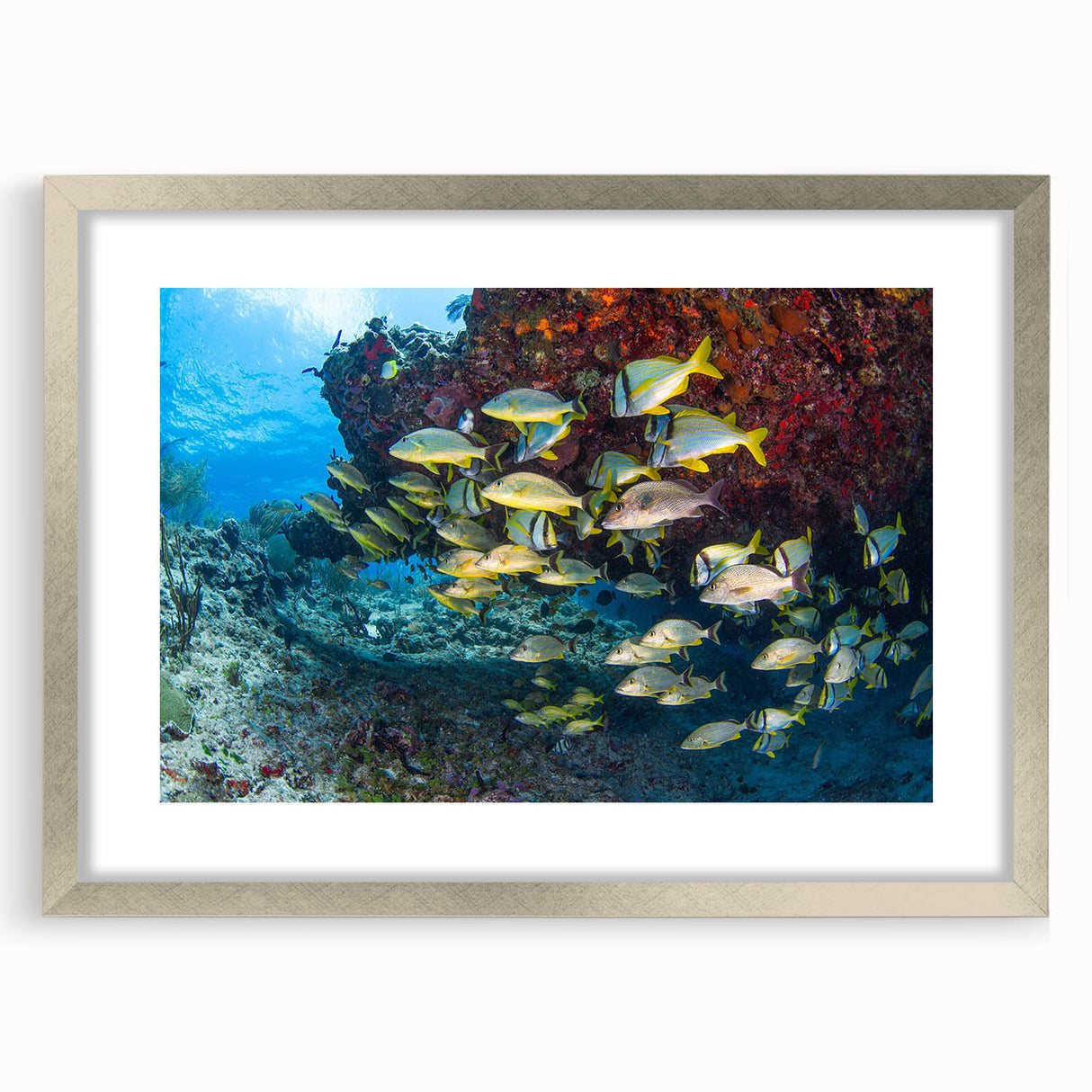 Textured abstract art print depicting a serene Quintana Roo scenery in muted earth tones, framed in silver.