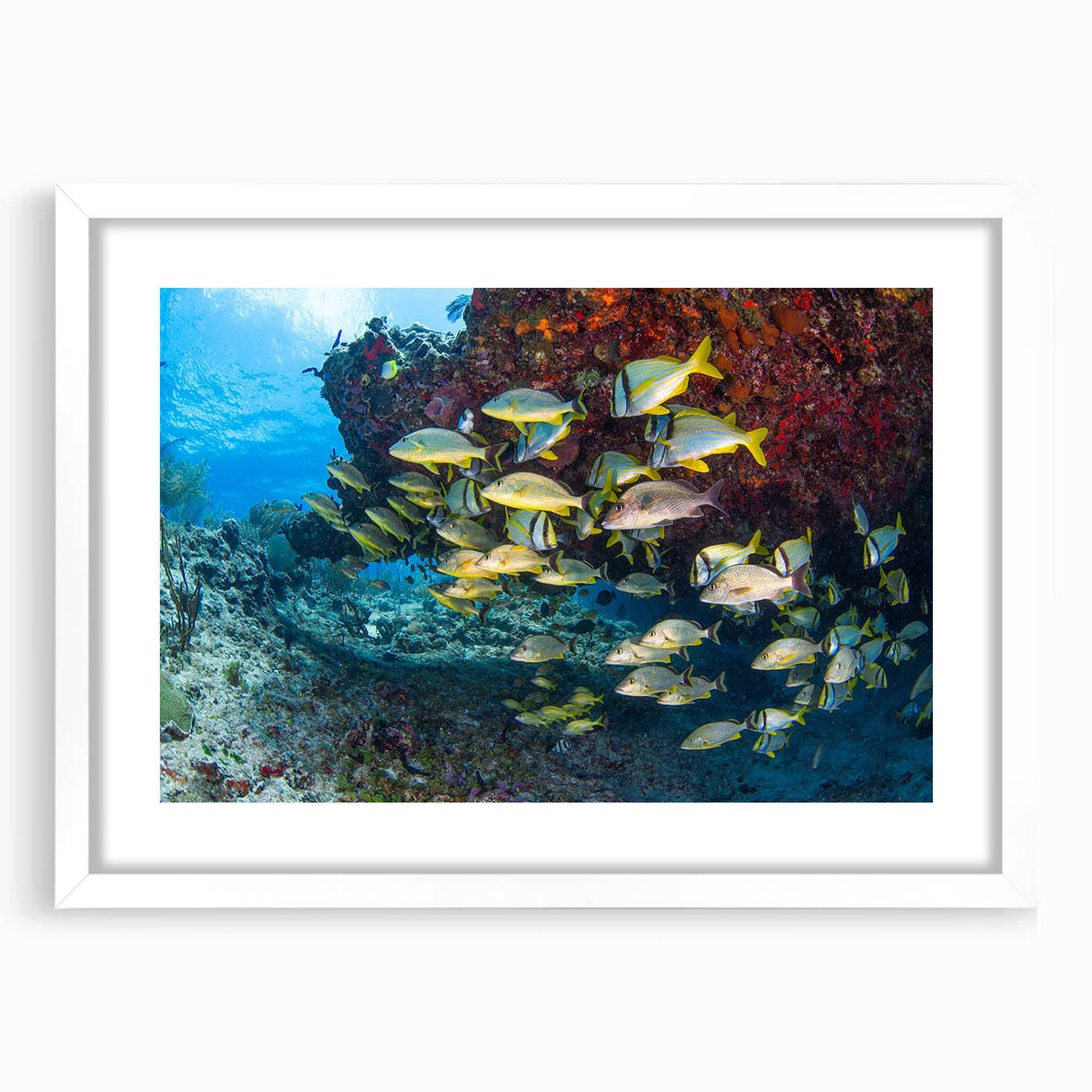 Abstract art print of Quintana Roo scenery in muted blue and green shades on a framed white mat, ideal for dining room decor.