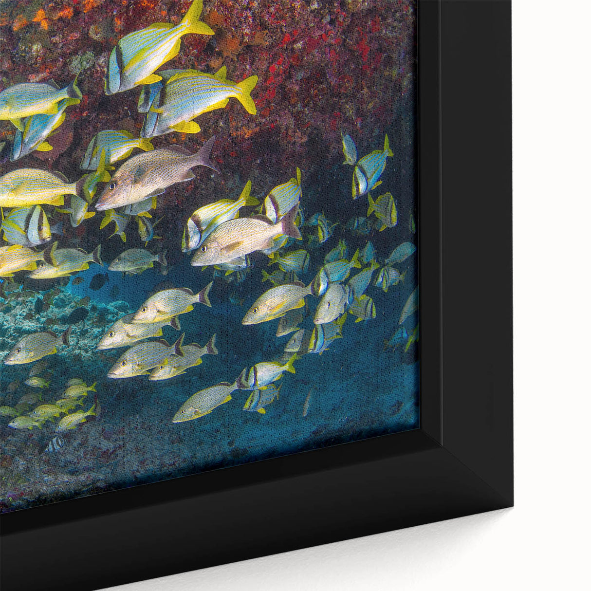 Extra large framed canvas depicting a textured, colorful Mexican Quintana Roo scenery on black background.