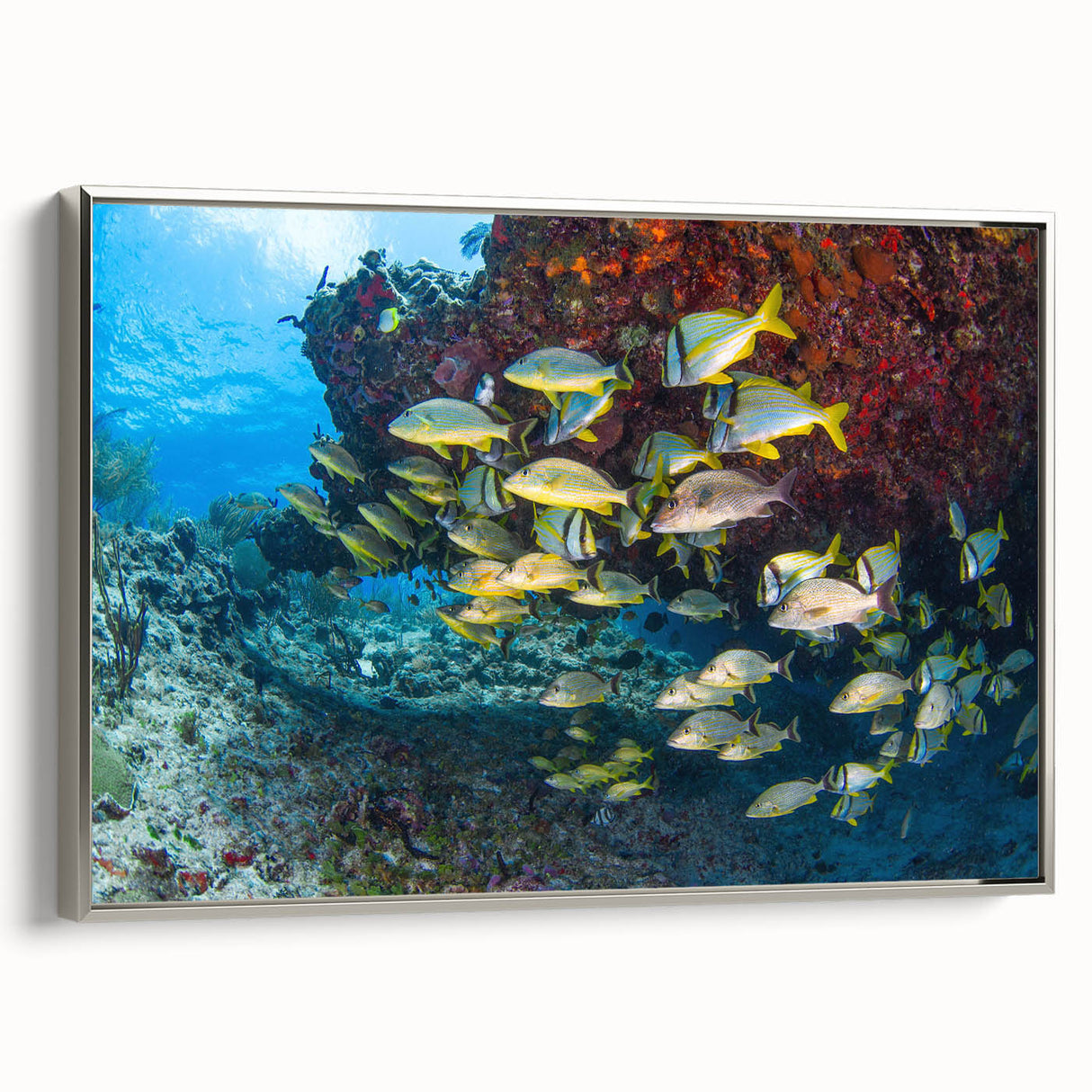 Framed canvas depicting a vintage landscape of Quintana Roo, Mexico, in vibrant colors against a black background.