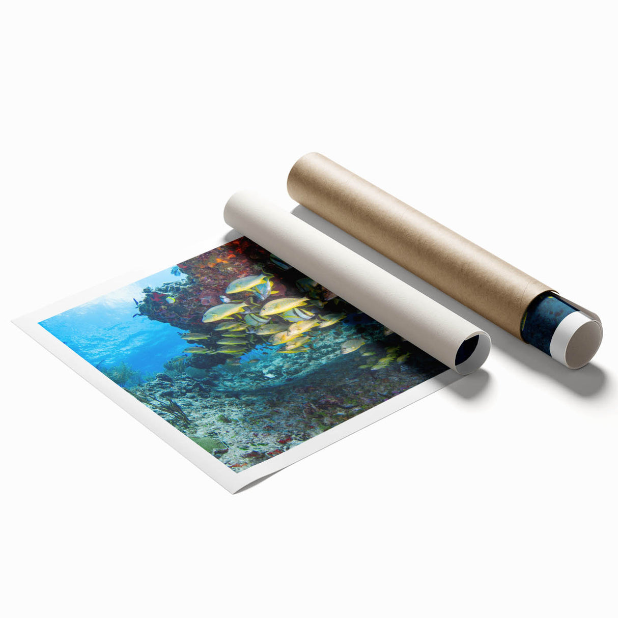 Extra large rolled print of Quintana Roo scenery with lush florals in vibrant colors.