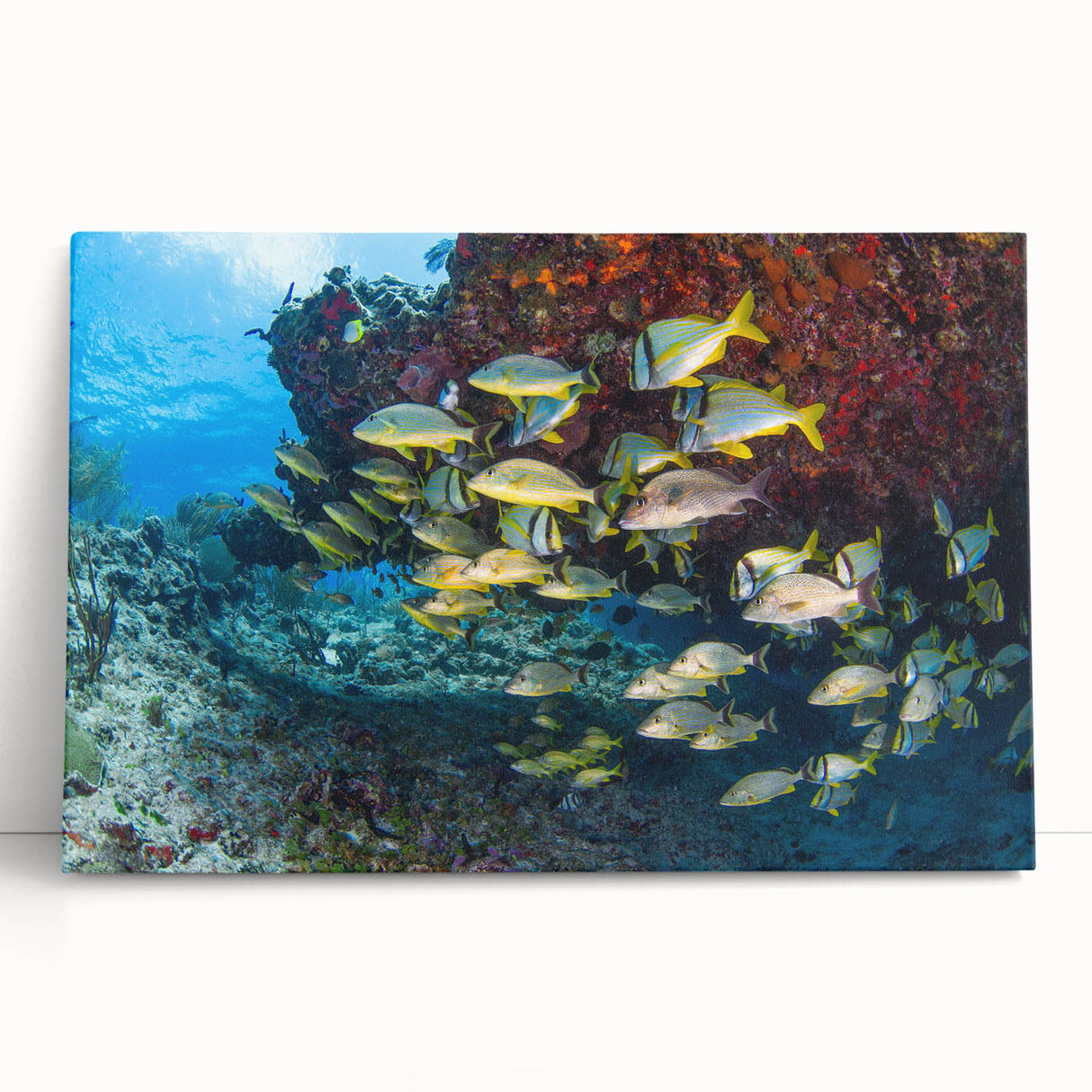 Black and white photograph of Quintana Roo scenery on stretched canvas, ideal for kitchen wall art.