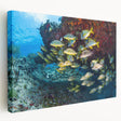 Large stretched canvas featuring a scenic view of Quintana Roo, Mexico, in vibrant oceanic and sky blue tones.