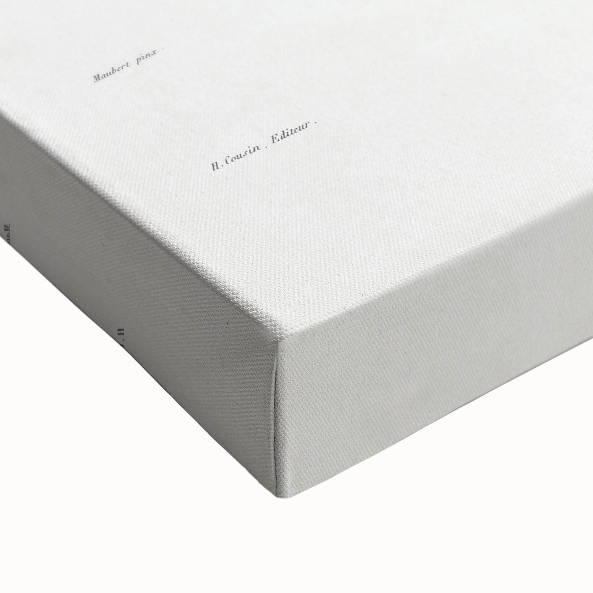 Modern Wall Art: Vibrant Rainbow Cactus Illustration with Pink Blooms