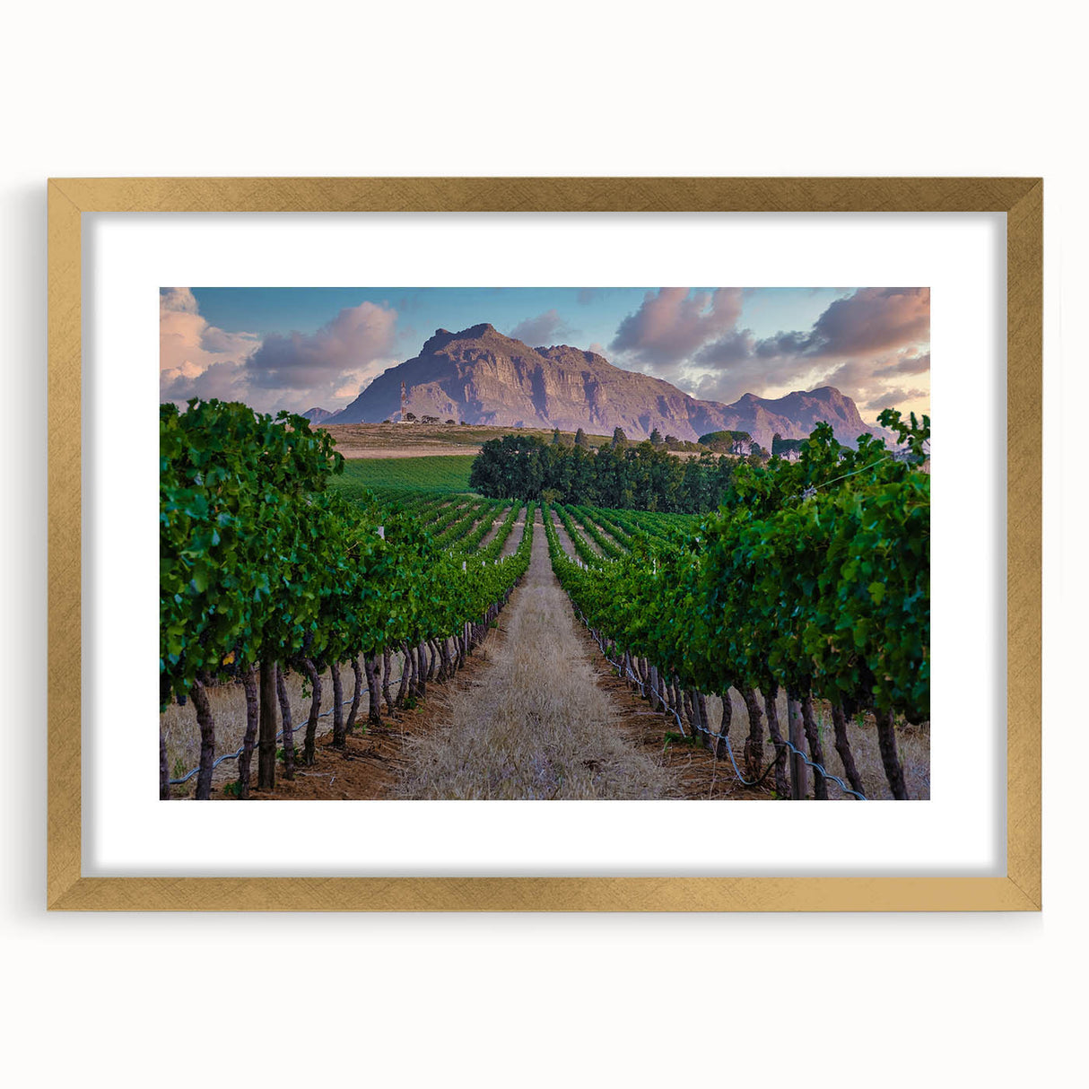 Extra large abstract art print of African scenery in textured gold frame, ideal for living room decor.