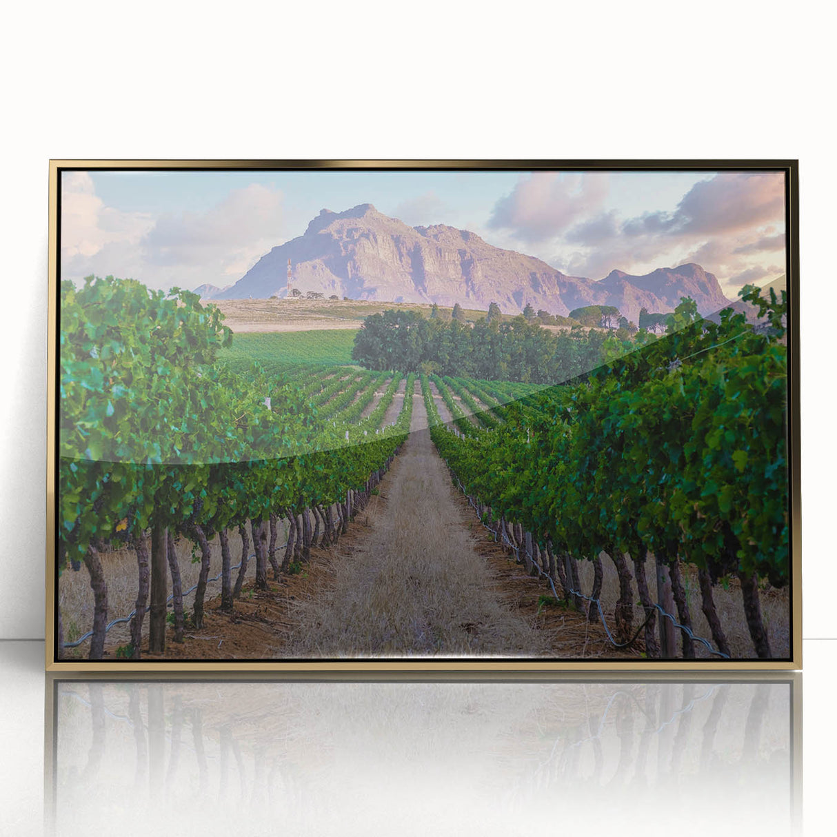 Large art print of a South African scenery in gold tones on framed acrylic, ideal for modern art wall decor.