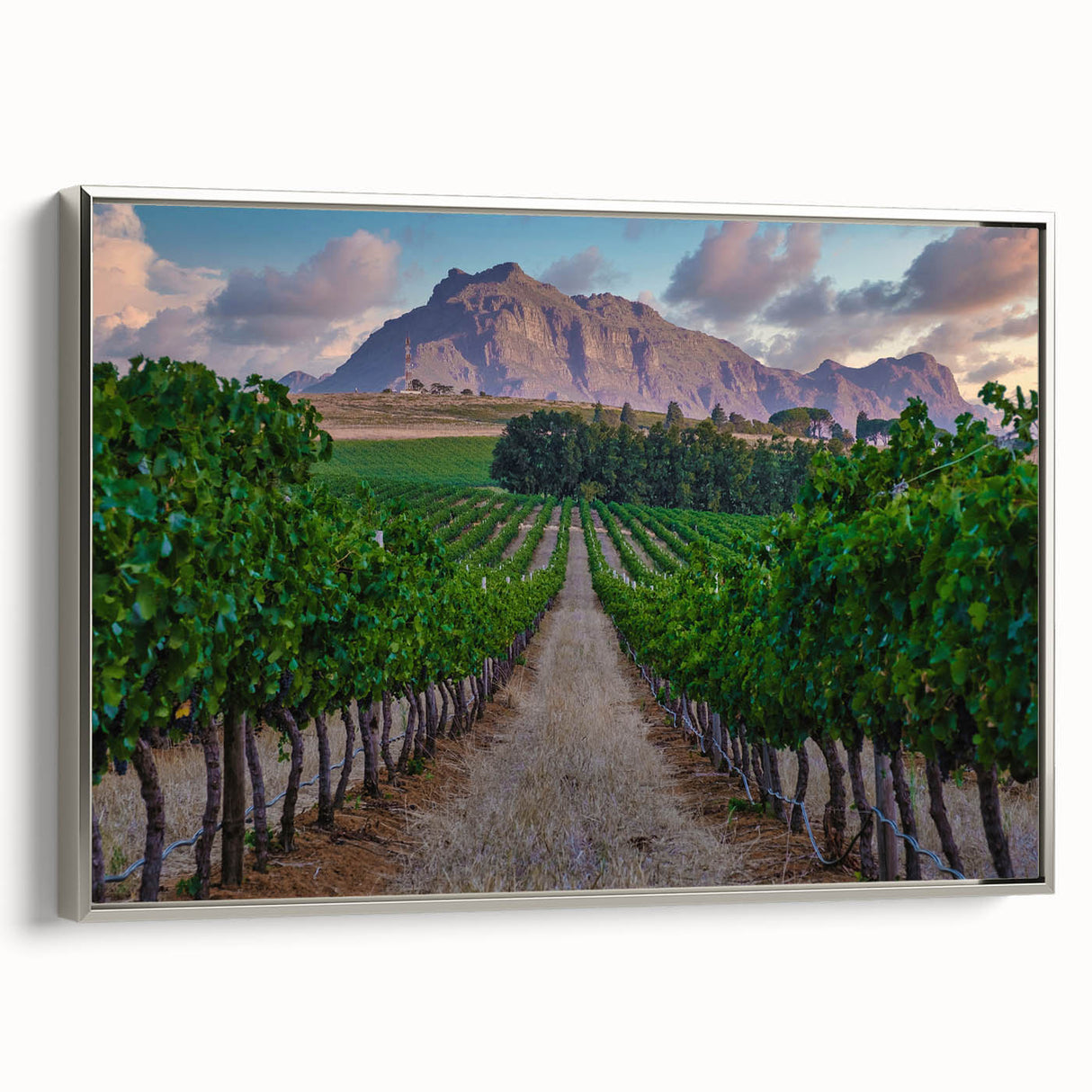 Framed canvas depicting a colorful African landscape in a vintage poster style, ideal for living room decor.