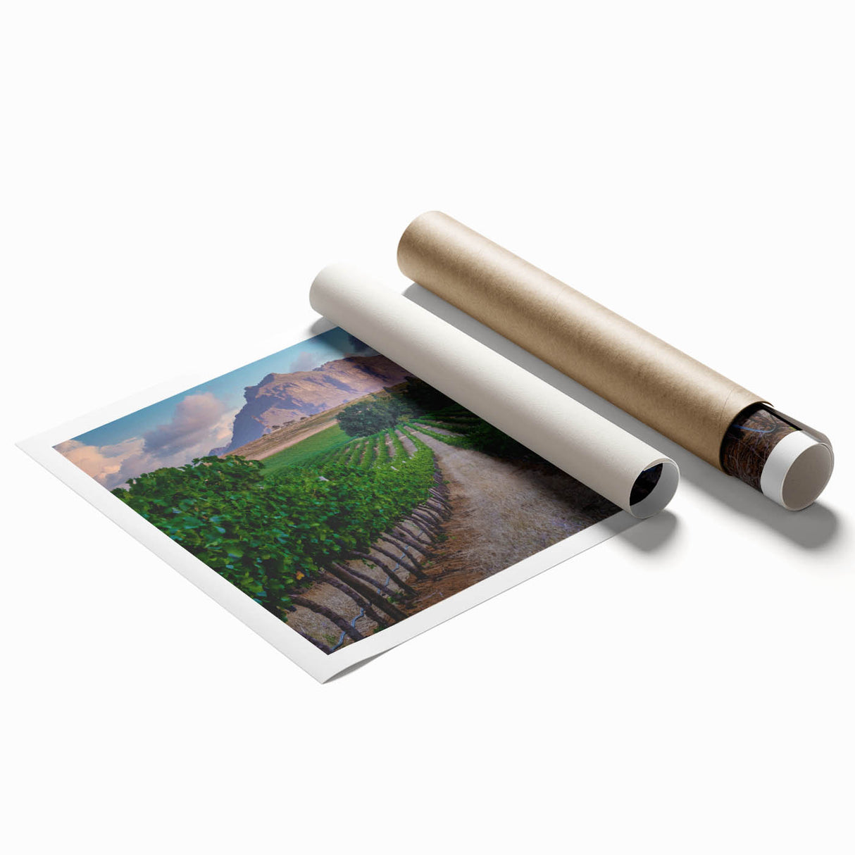 Extra large rolled print of a South African landscape with vibrant floral elements, ideal for classy bathroom wall art.