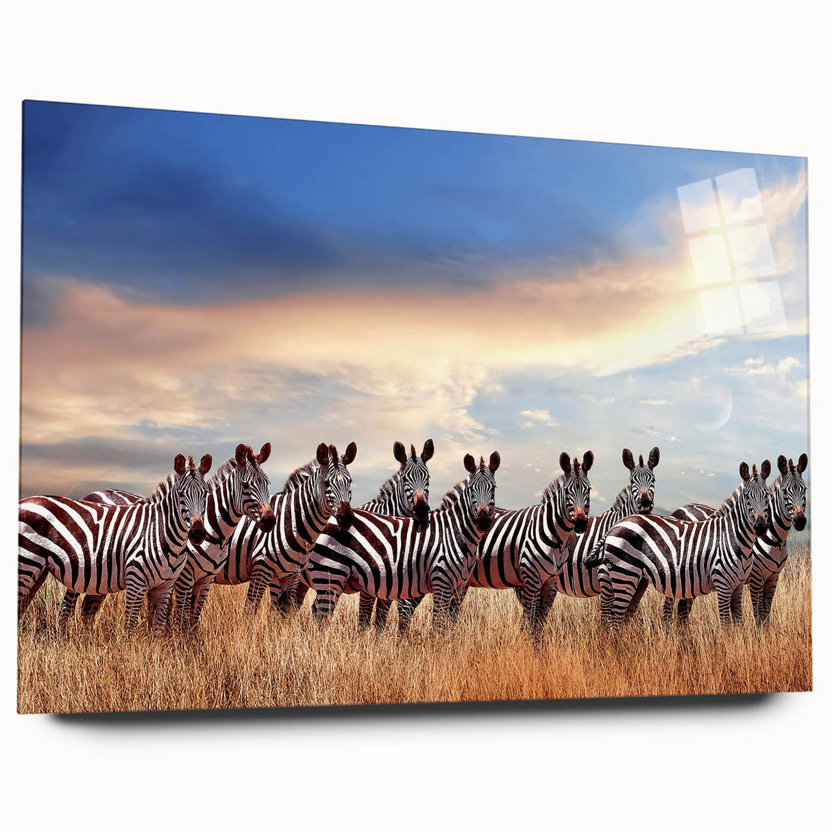 Large abstract wall art of Tanzanian scenery in muted earth tones on acrylic glass.