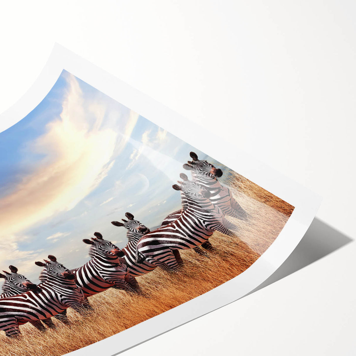 Extra large wall art featuring line art flowers in muted earth tones on a rolled canvas.