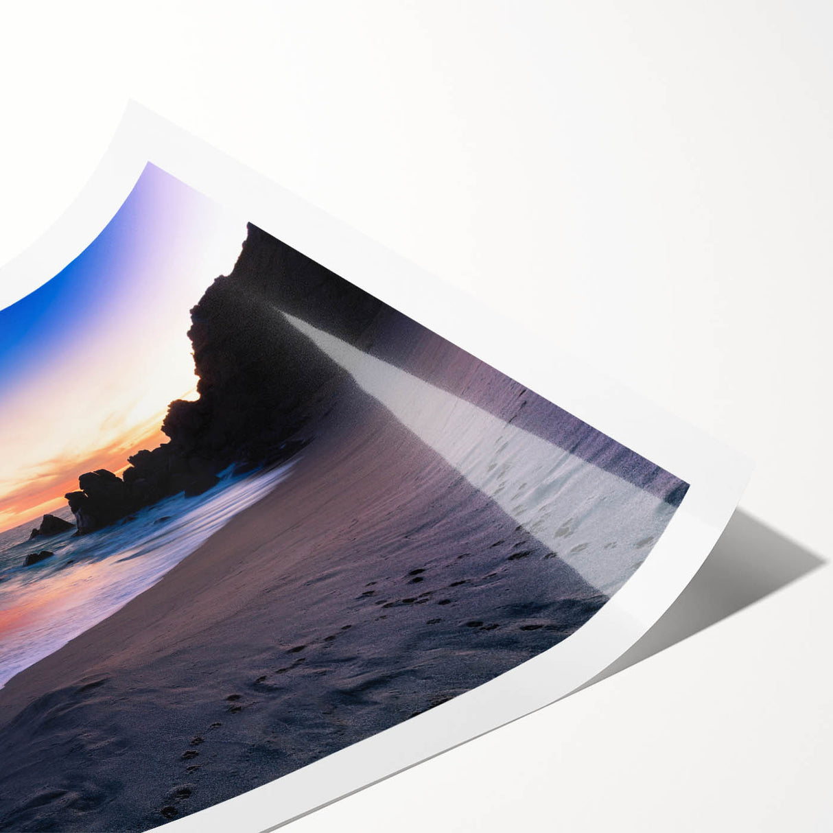 Extra large wall art depicting line art flowers in neutral tones, ideal for large living room decor.