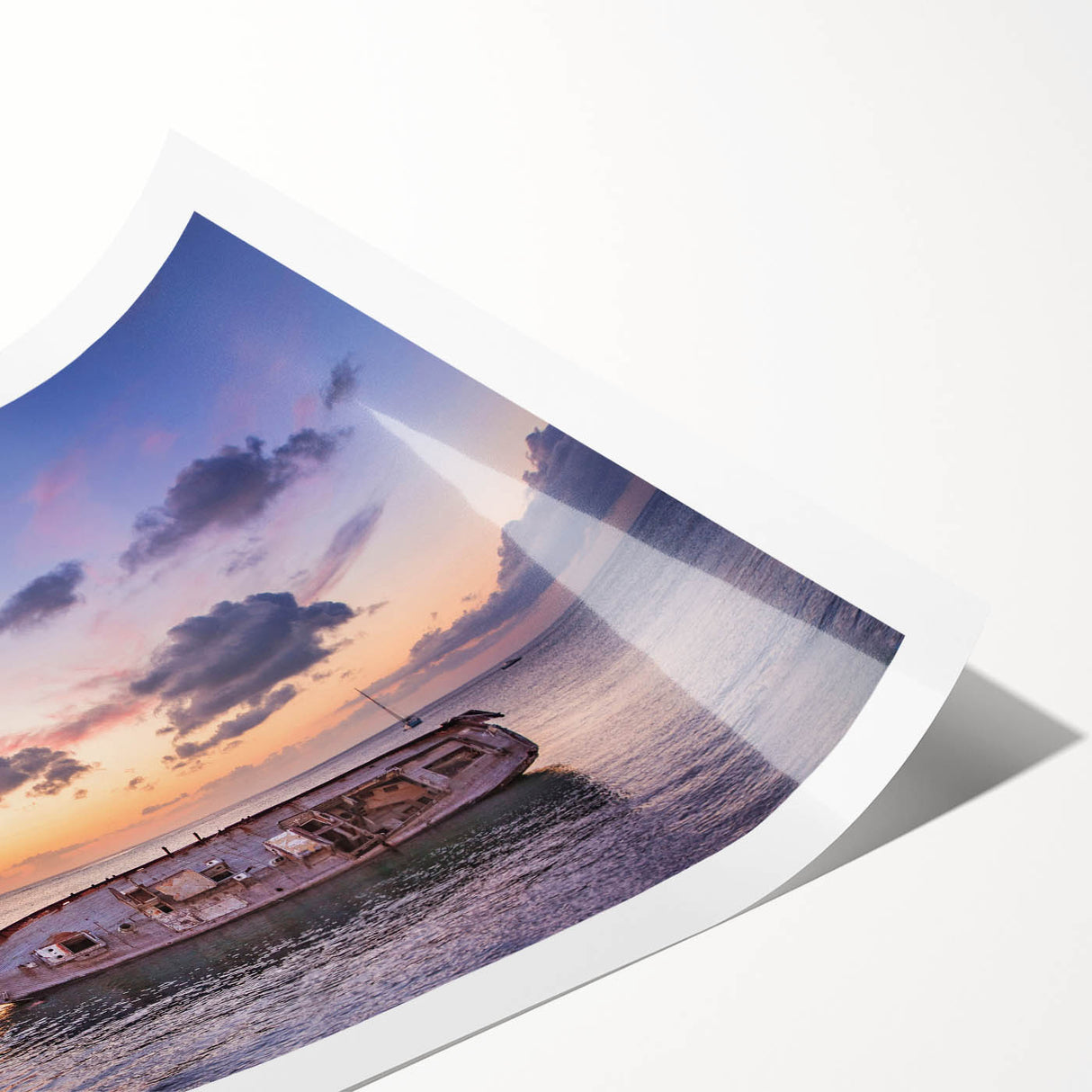 Extra large wall art featuring line art flowers in monochrome, printed on rolled canvas.