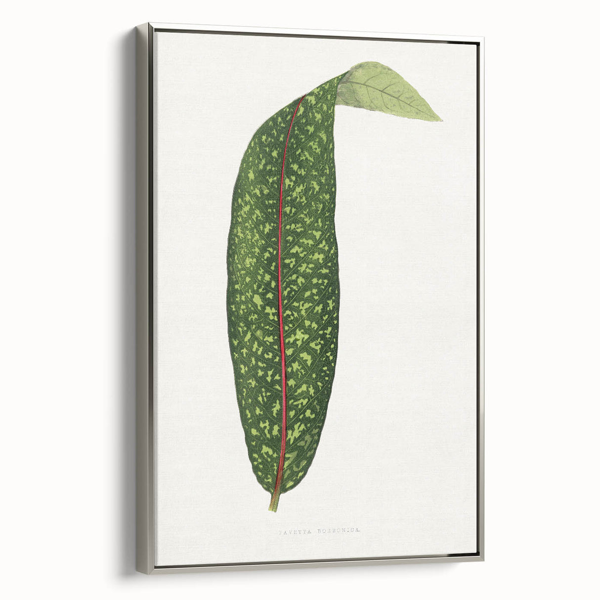 Classic Romantic Paintings - Historical Romanticism Canvas Wall Art