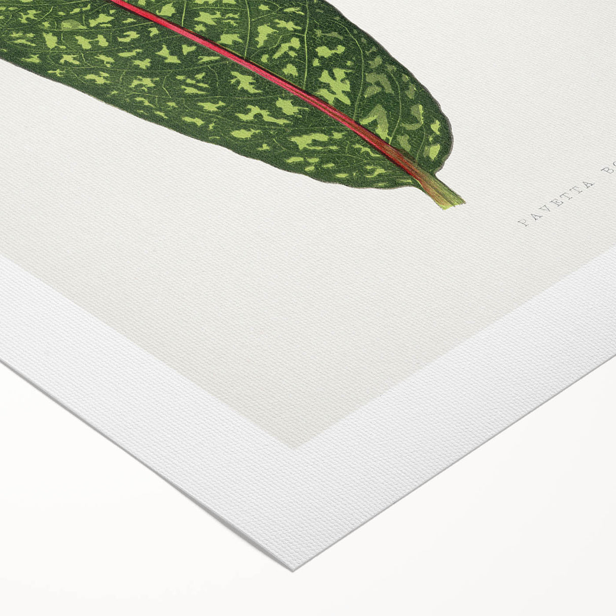 Classic Romantic Paintings - Historical Romanticism Canvas Wall Art