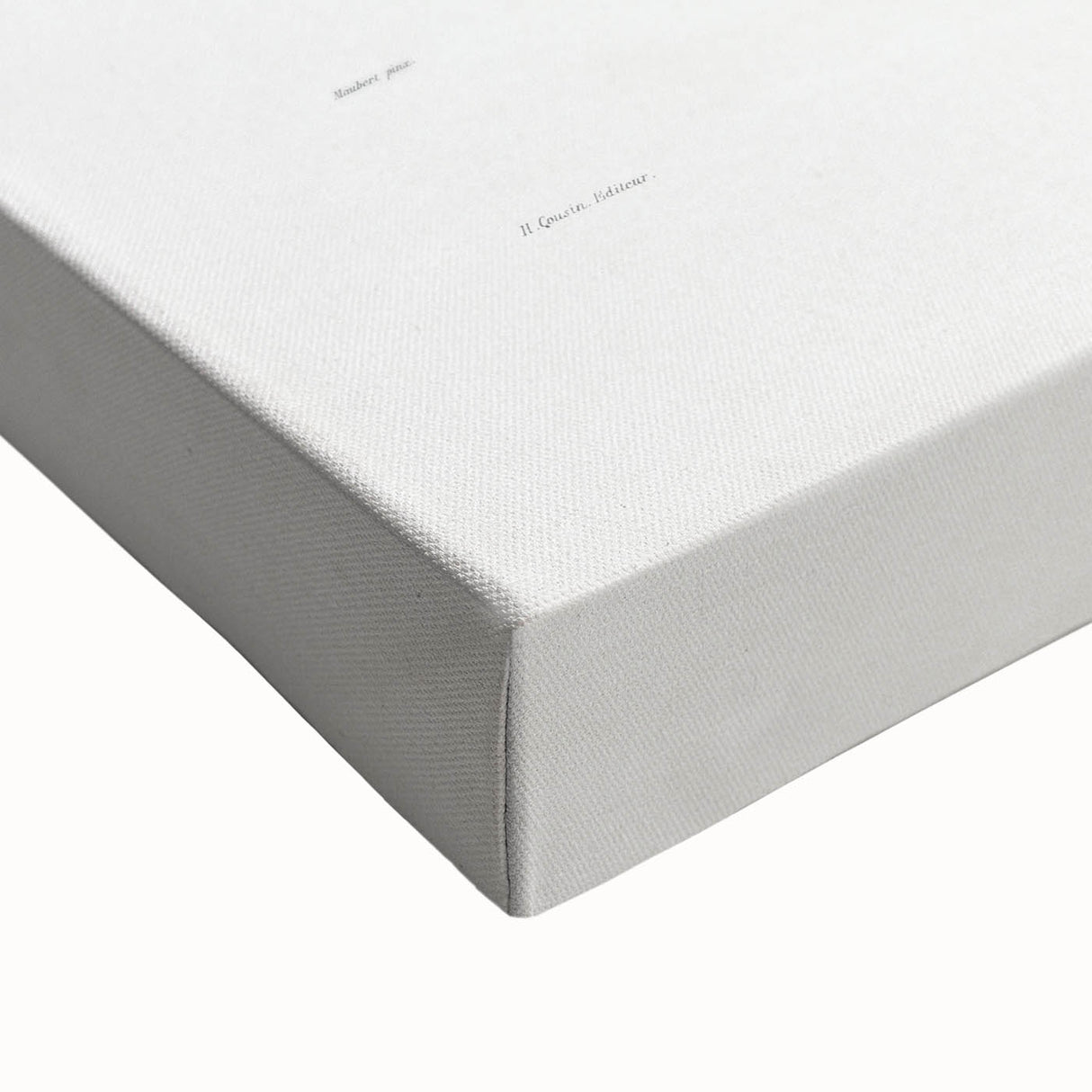 Famous Romantic Era Art - Mammillaria Cactus Romanticism Print