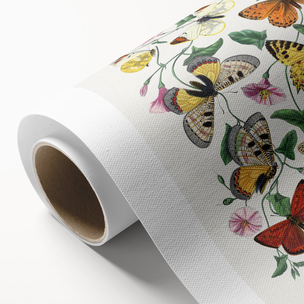 Classic Romantic Paintings - Butterfly & Moth Illustration Wall Art