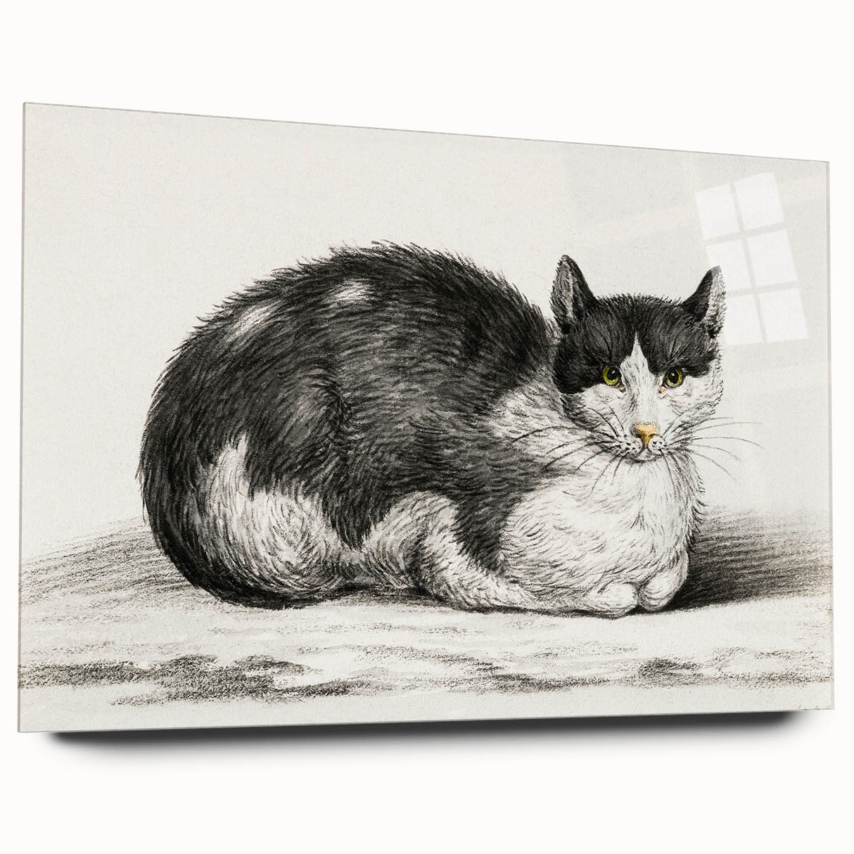 Classic Romantic Paintings - Lying Cat Illustration Wall Art