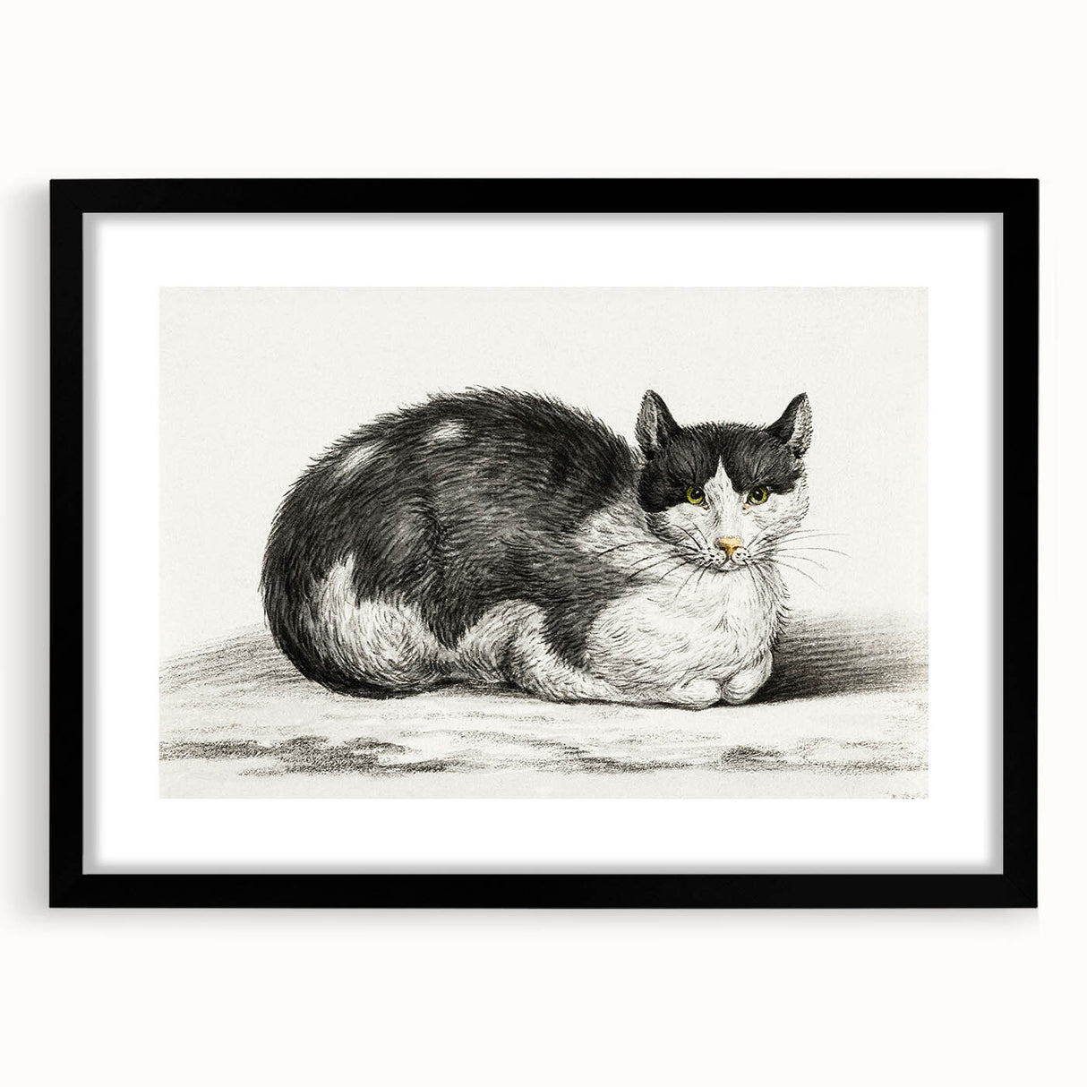 Classic Romantic Paintings - Lying Cat Illustration Wall Art