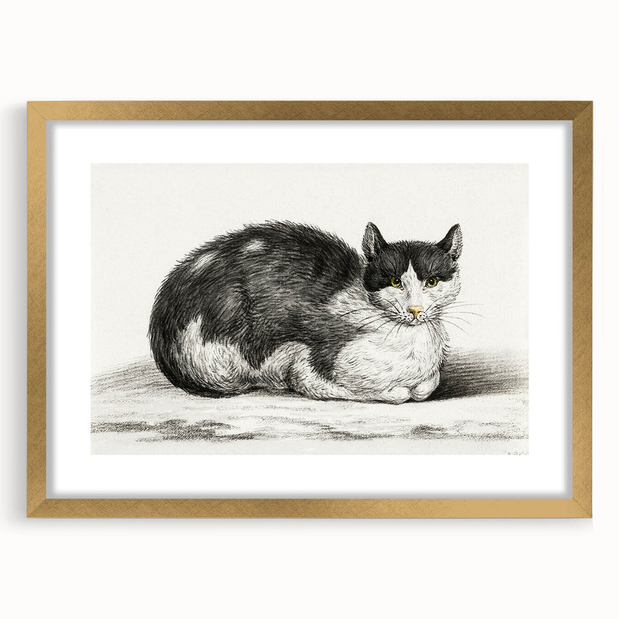 Classic Romantic Paintings - Lying Cat Illustration Wall Art
