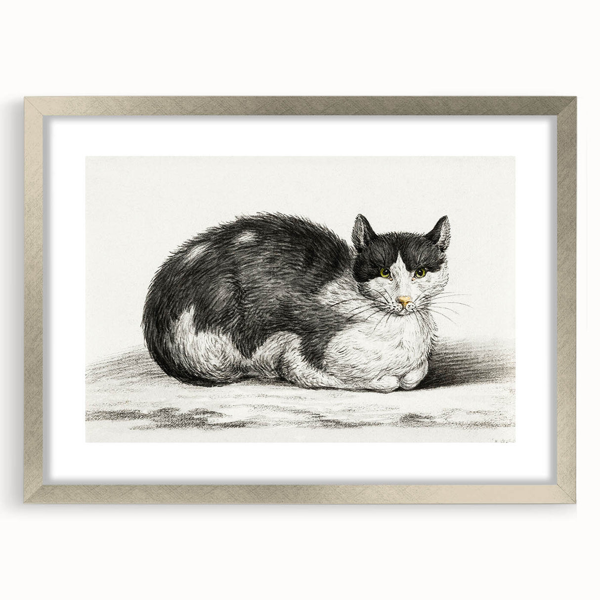 Classic Romantic Paintings - Lying Cat Illustration Wall Art