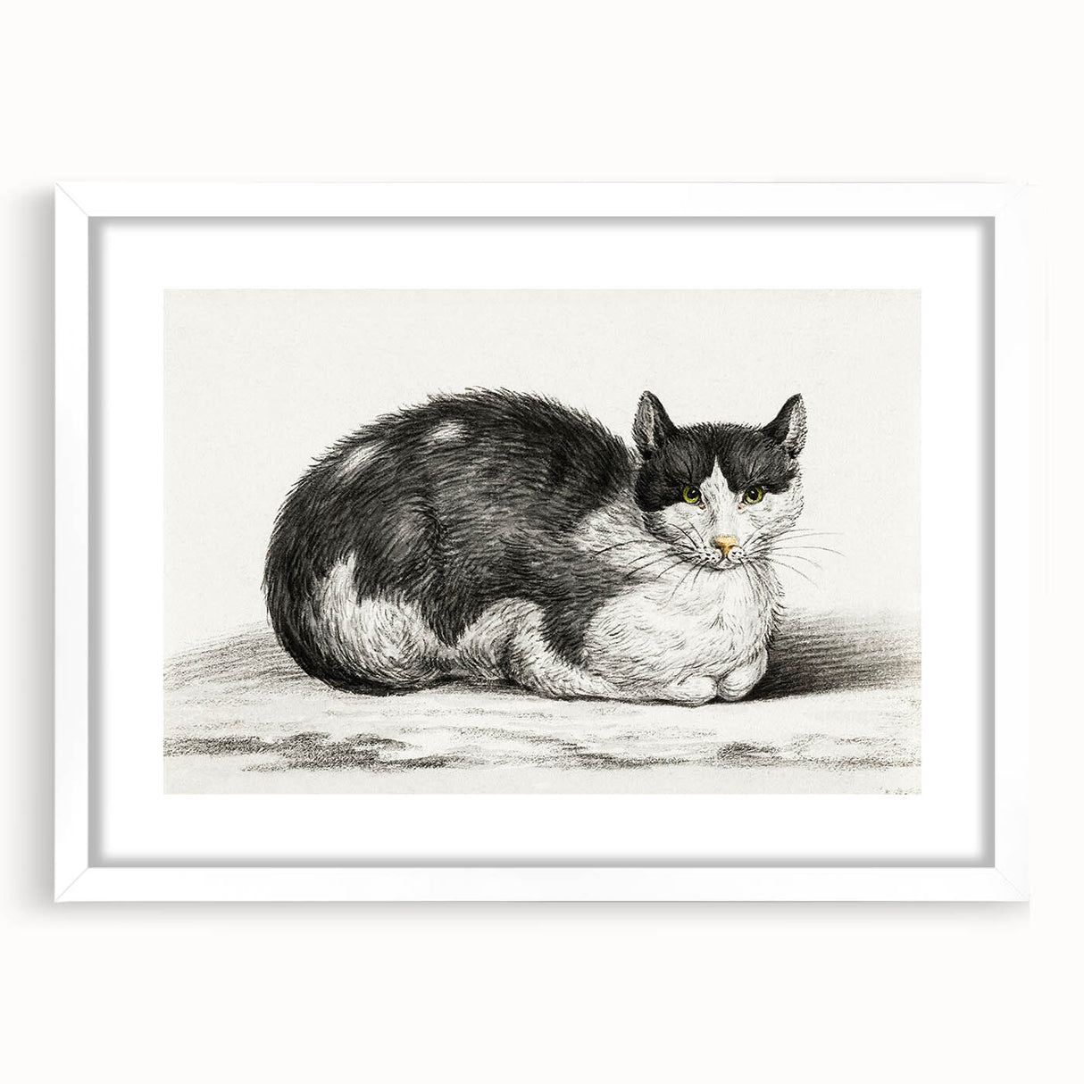Classic Romantic Paintings - Lying Cat Illustration Wall Art
