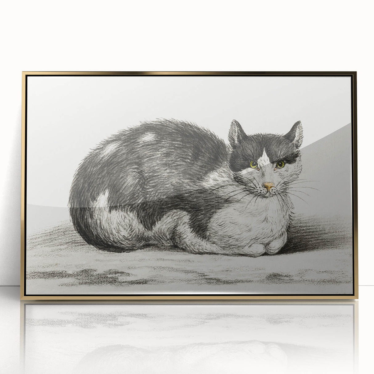 Classic Romantic Paintings - Lying Cat Illustration Wall Art