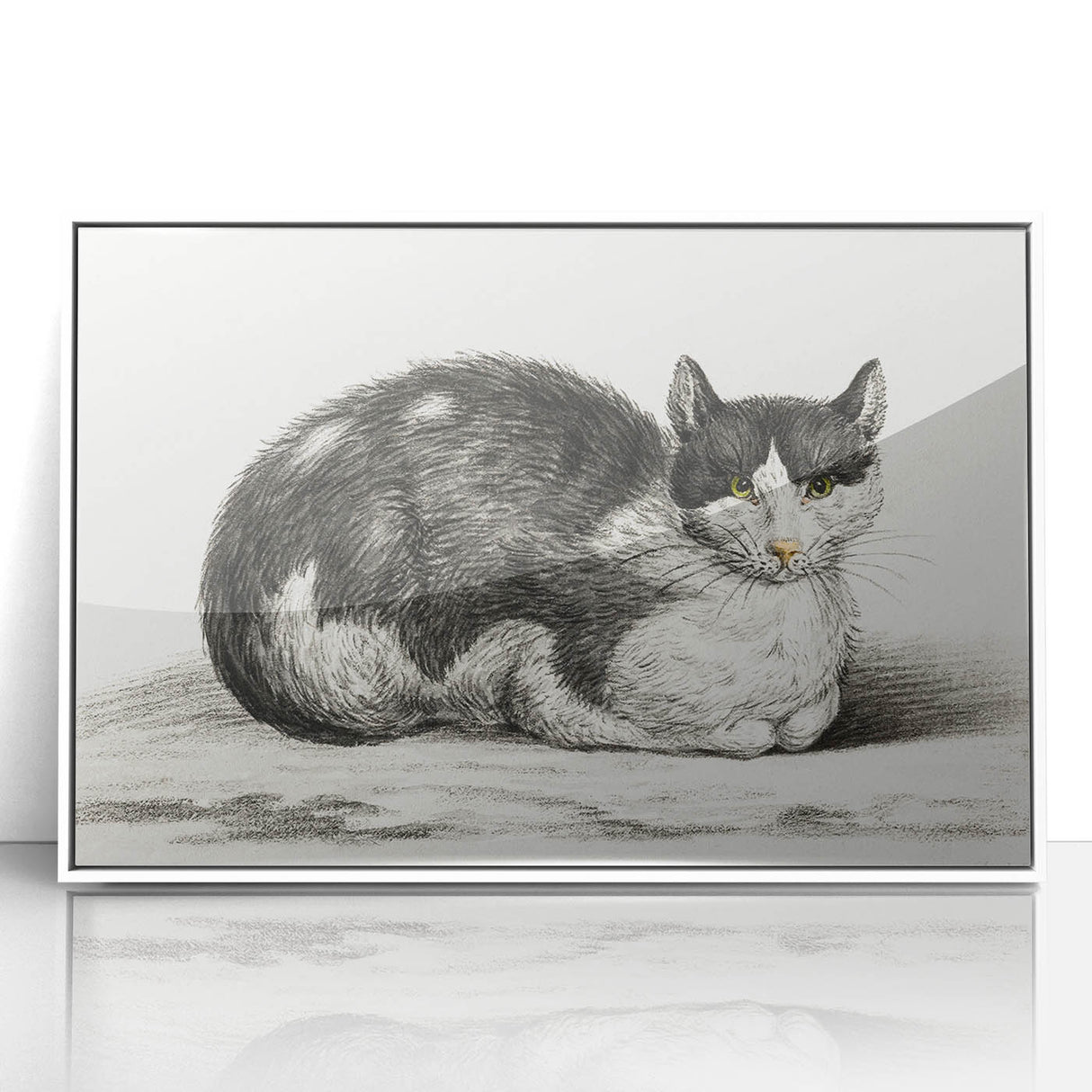 Classic Romantic Paintings - Lying Cat Illustration Wall Art
