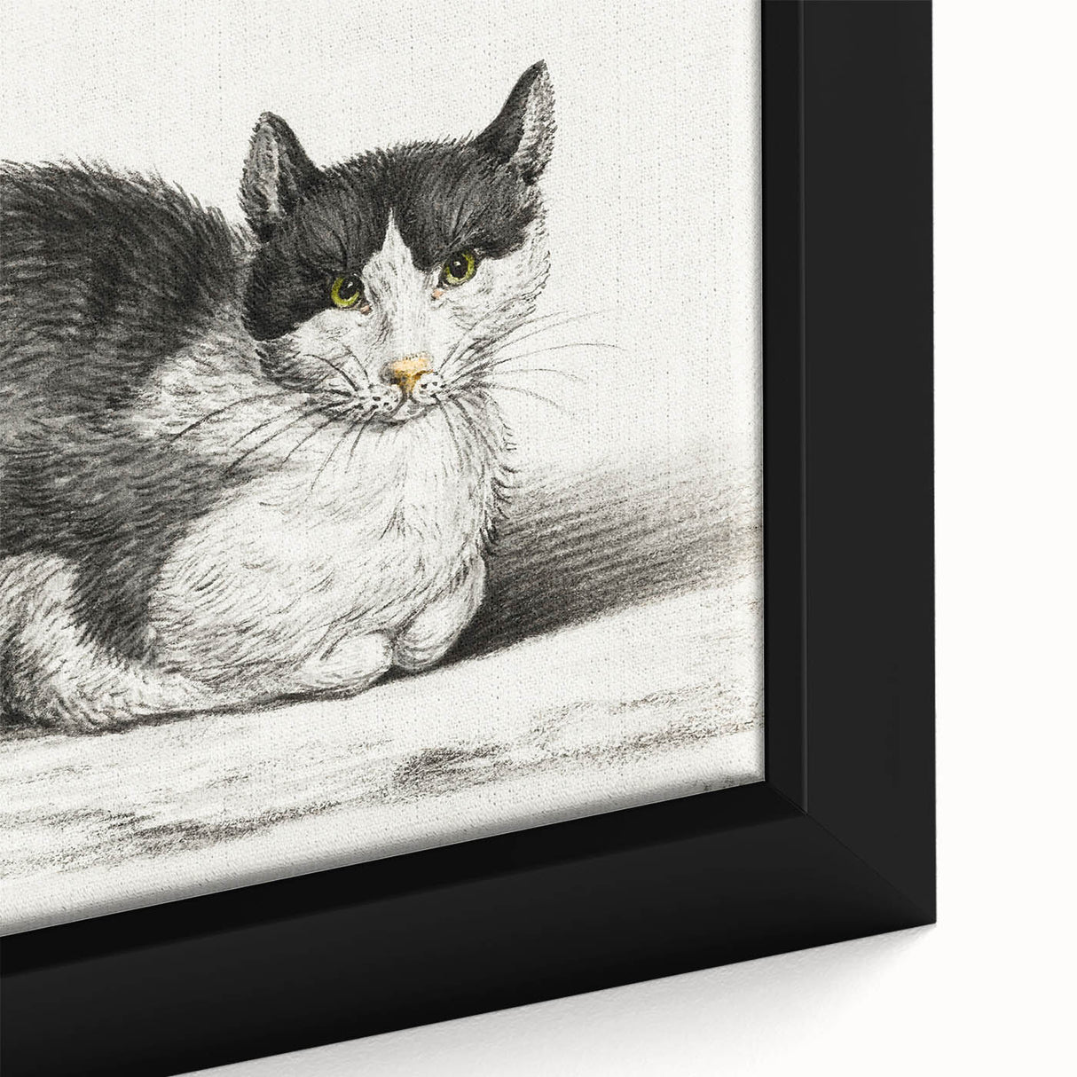 Classic Romantic Paintings - Lying Cat Illustration Wall Art