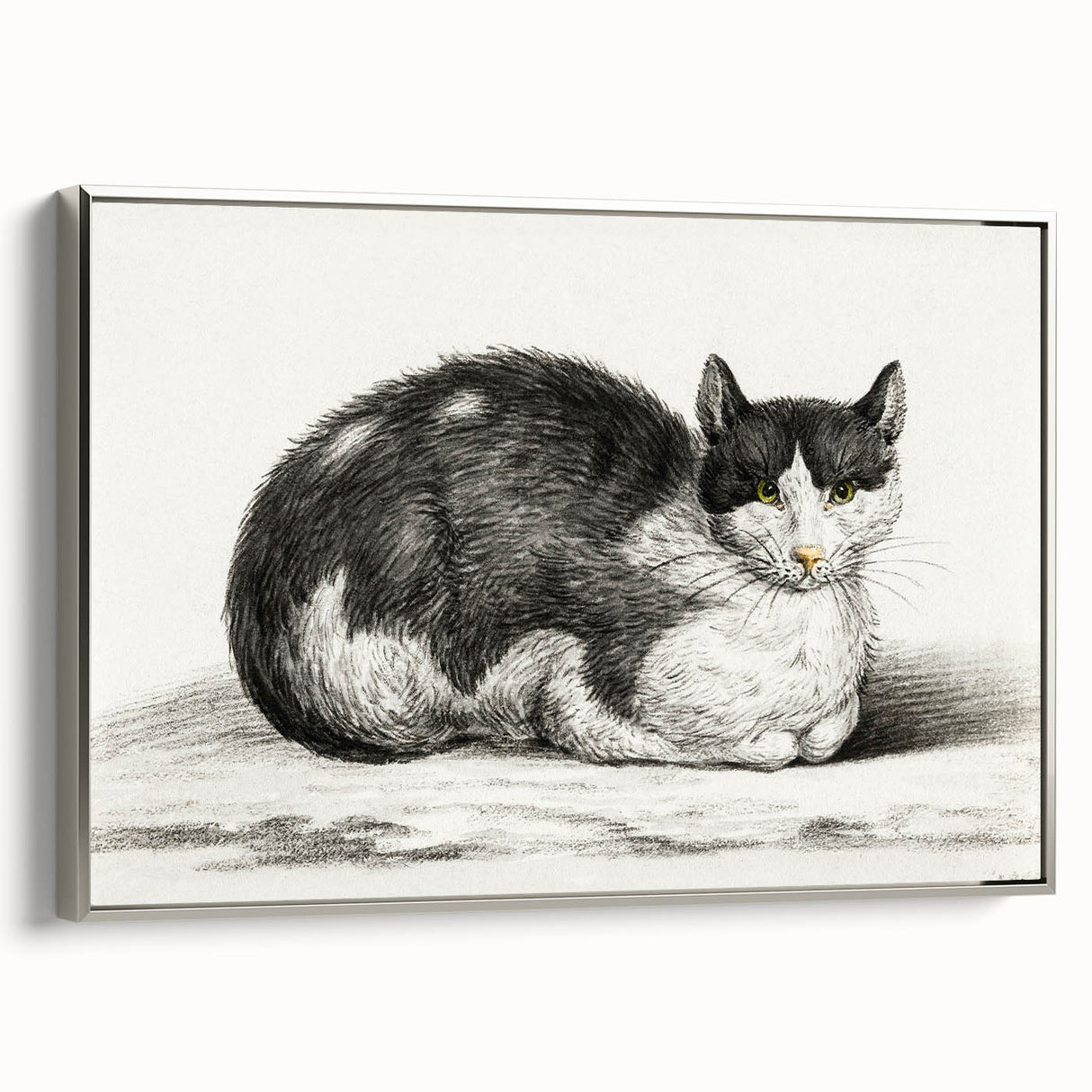 Classic Romantic Paintings - Lying Cat Illustration Wall Art