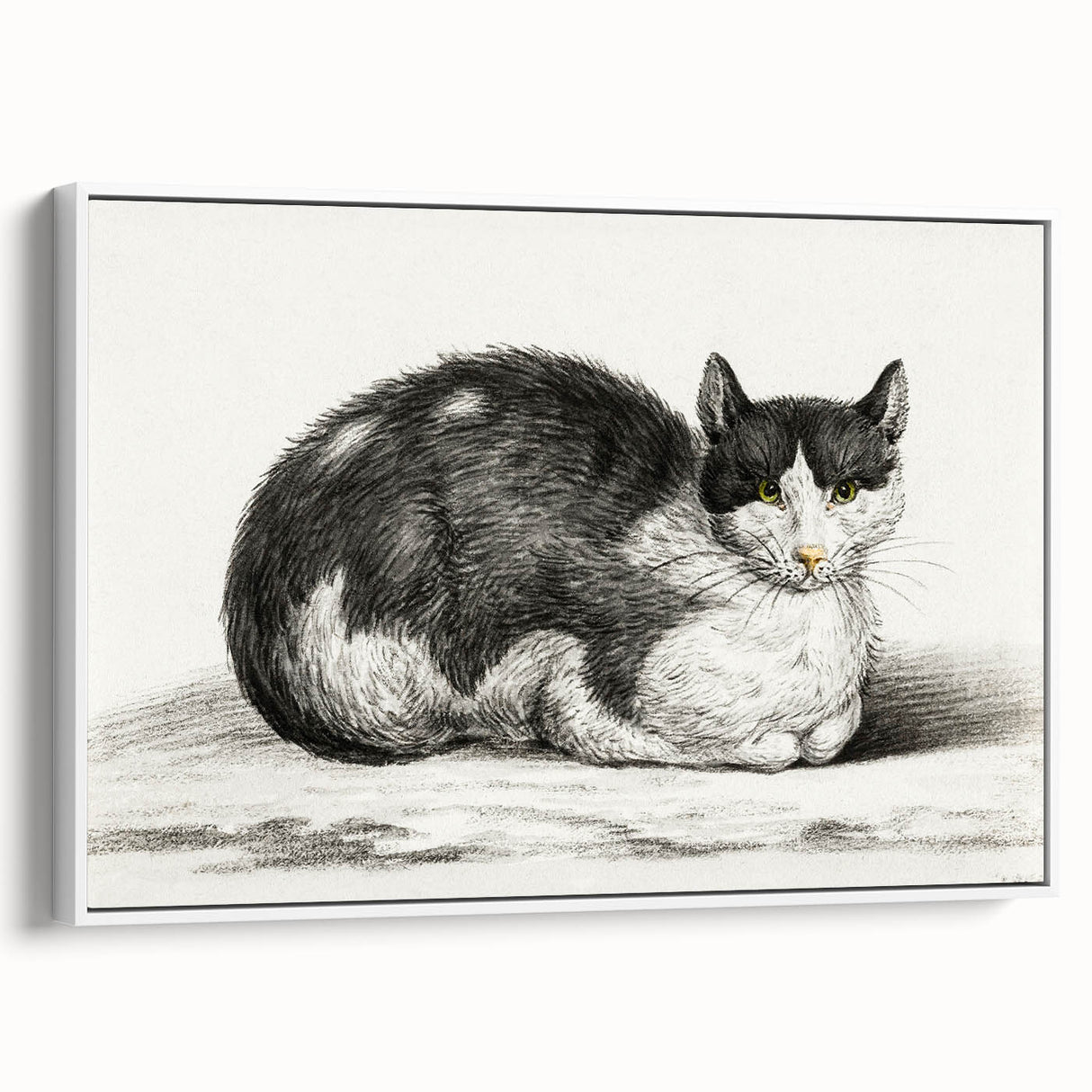 Classic Romantic Paintings - Lying Cat Illustration Wall Art