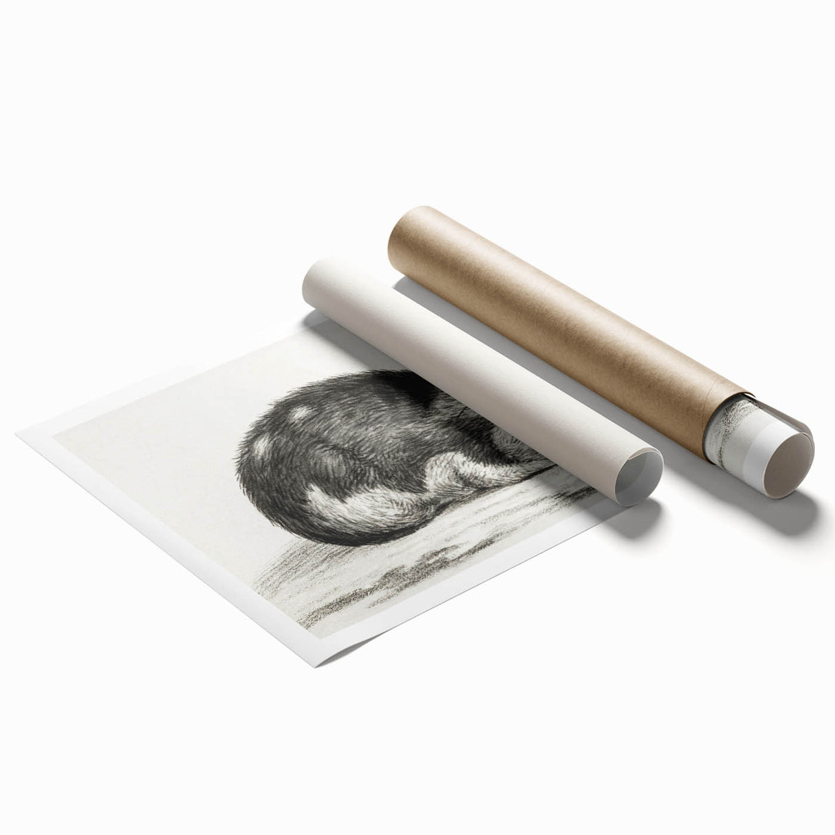 Classic Romantic Paintings - Lying Cat Illustration Wall Art