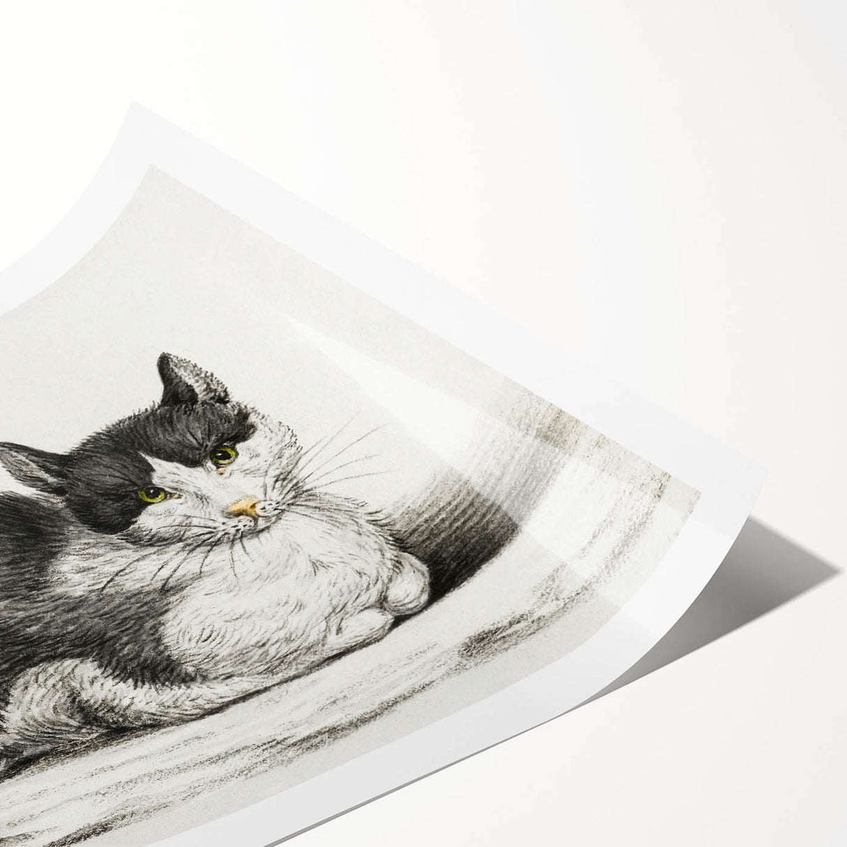 Classic Romantic Paintings - Lying Cat Illustration Wall Art