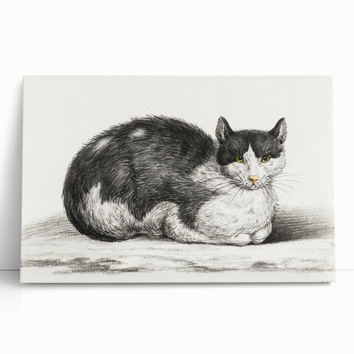 Classic Romantic Paintings - Lying Cat Illustration Wall Art