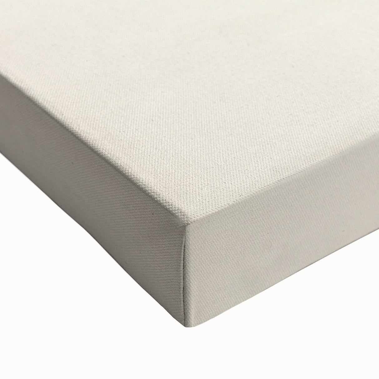 Famous Romantic Era Art - Sooty Tern Bird Illustration Canvas Print