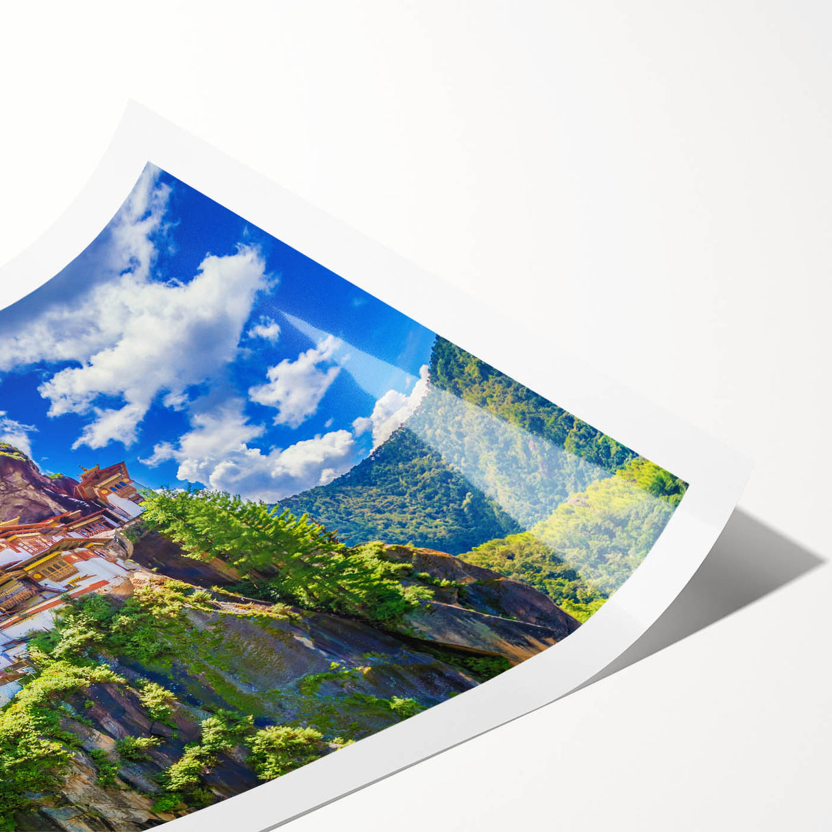 Extra large wall art featuring line art flowers in soft pastel shades on a rolled canvas, ideal for large living room decor.