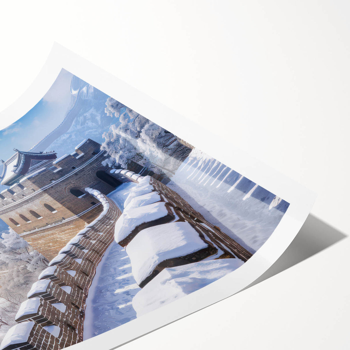 Extra large wall art featuring a line art depiction of flowers, in a rolled print format.