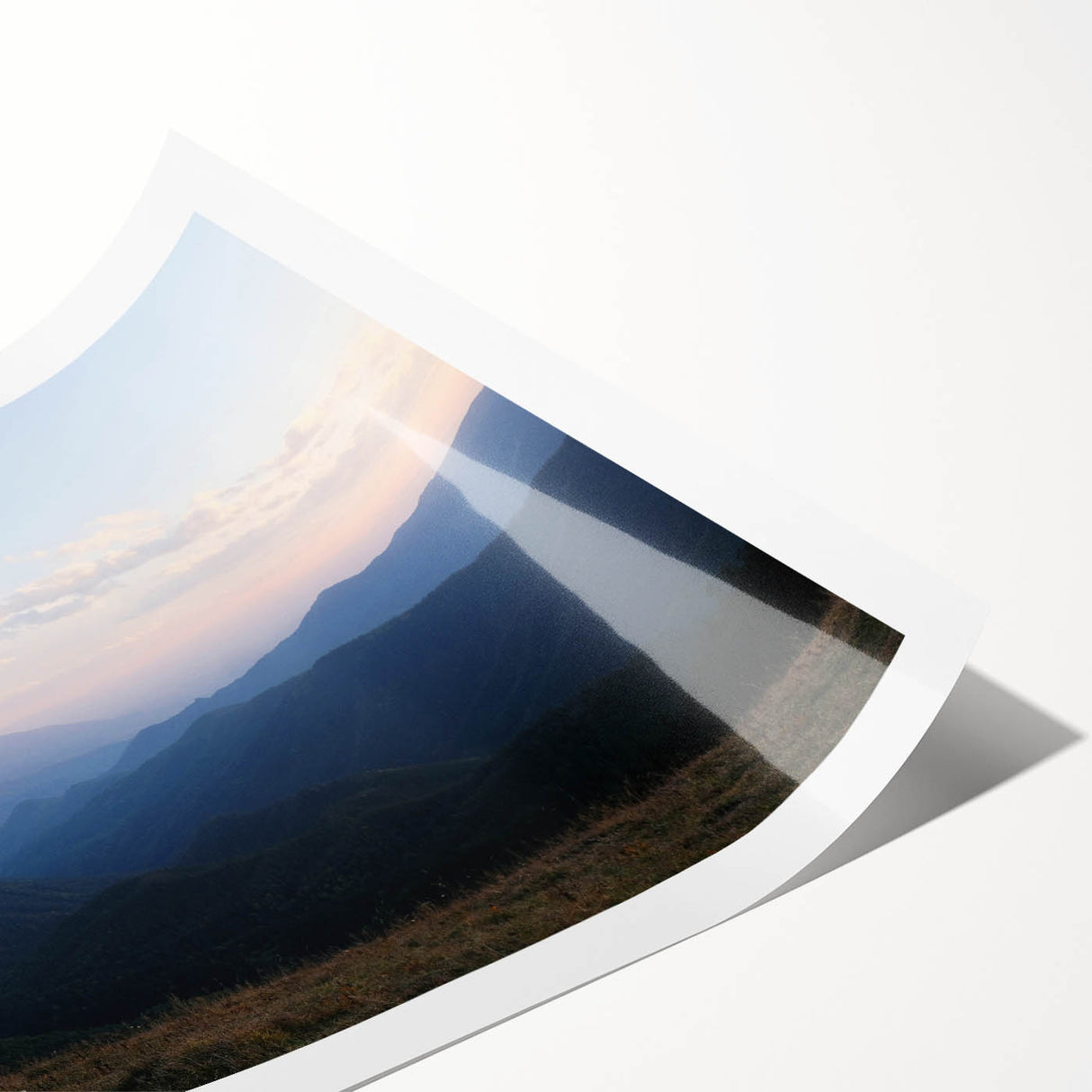 Extra large wall art featuring line art flowers in muted earth tones on a rolled canvas.