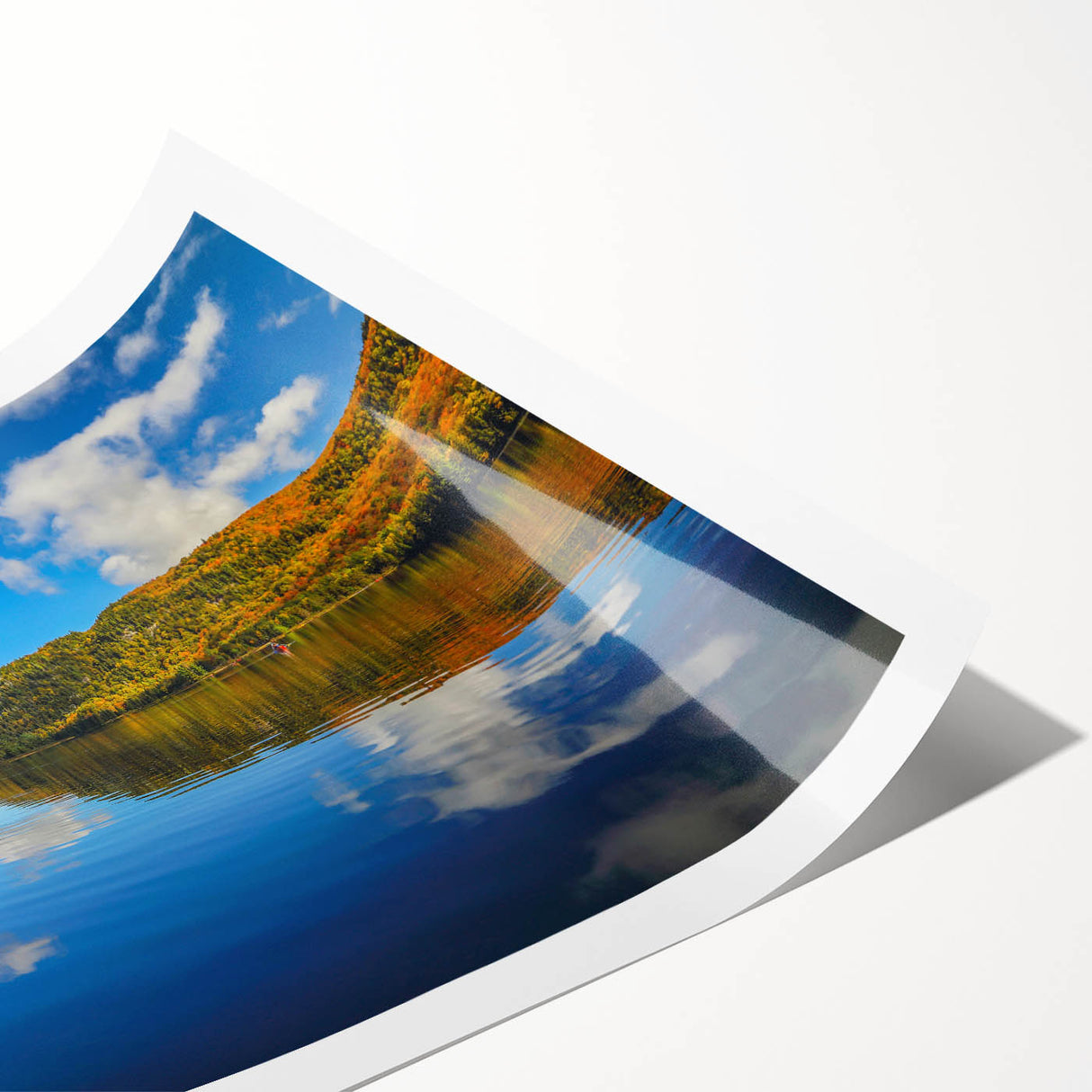 Extra large wall art featuring line art flowers in muted tones on rolled canvas, suitable for large living room decor.