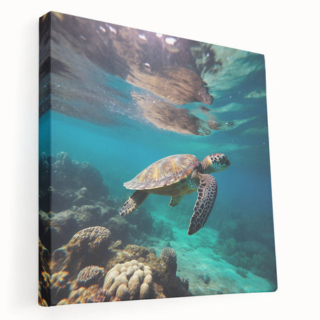 Aruba beach scene on large stretched canvas with vivid blue and sandy colors, suitable for kitchen wall art.