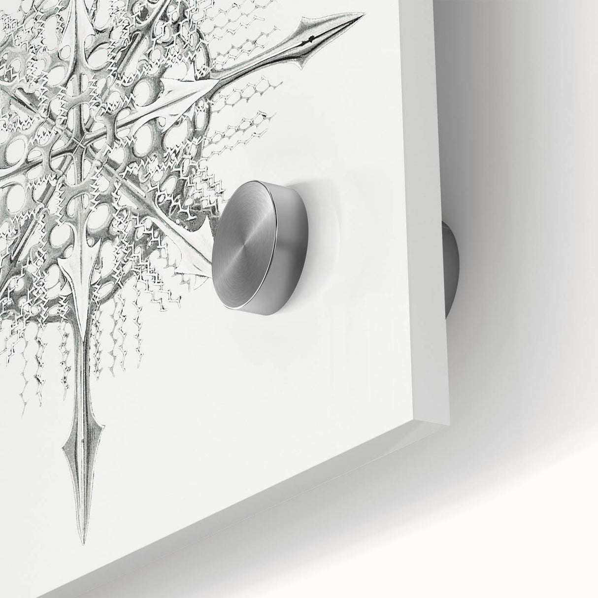 Modern Wall Art – Intricate Vintage Marine Life Illustration