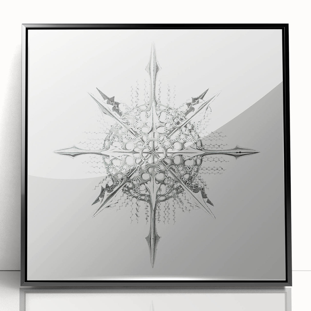 Modern Wall Art – Intricate Vintage Marine Life Illustration