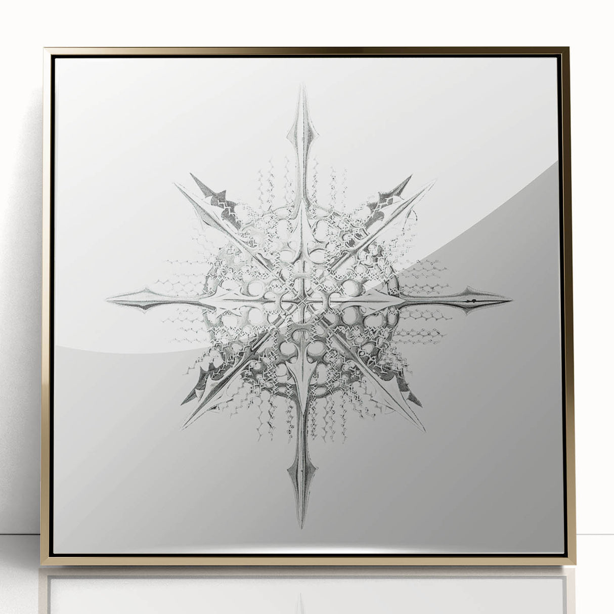 Modern Wall Art – Intricate Vintage Marine Life Illustration