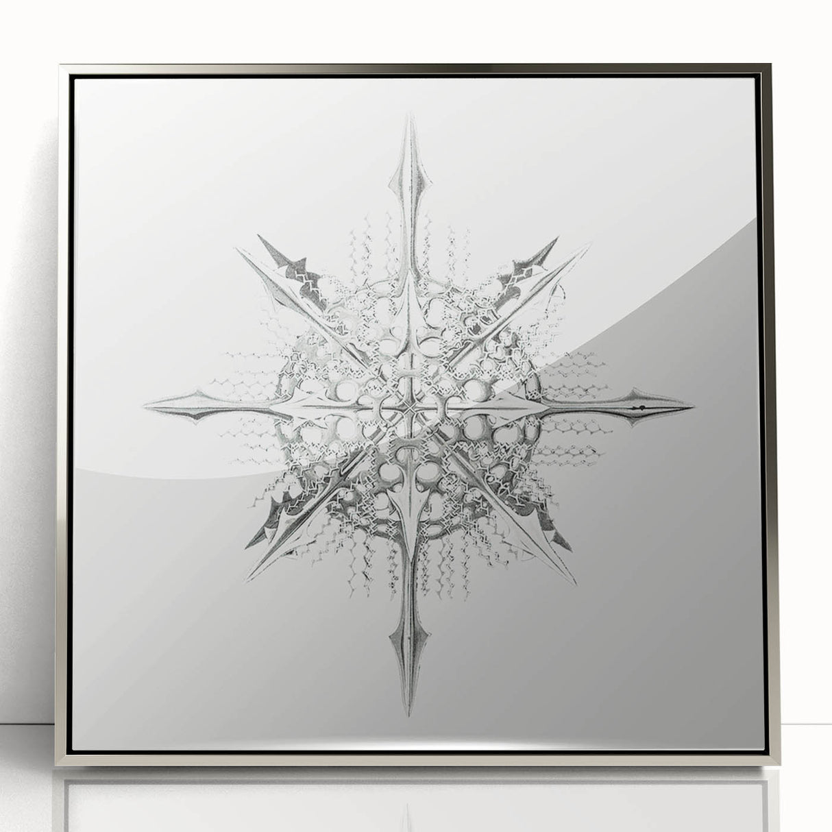 Modern Wall Art – Intricate Vintage Marine Life Illustration