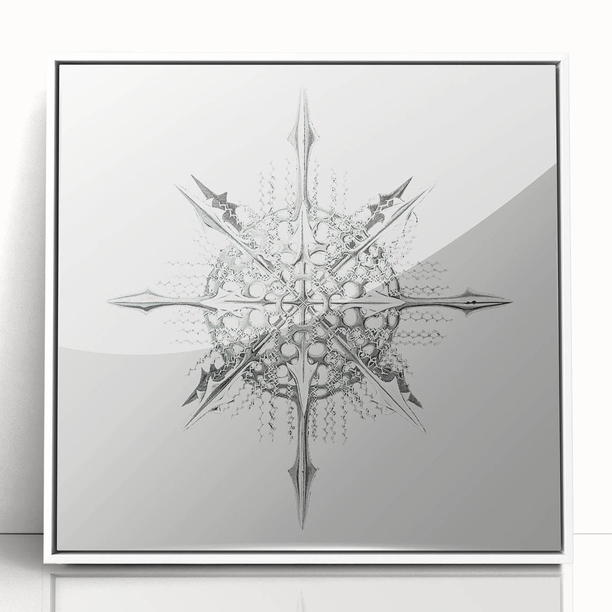 Modern Wall Art – Intricate Vintage Marine Life Illustration